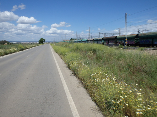 Passing by a Railroad Yard.